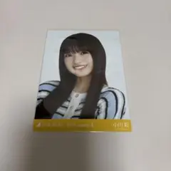 ひめたんの隠しミートボール様 リクエスト 2点 まとめ商品