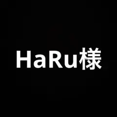 HaRu 19時までに購入で当日発送！様 リクエスト 3点 まとめ商品