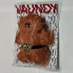 2025年最新】VAUNDY キーホルダーの人気アイテム - メルカリ