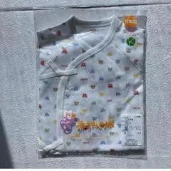 Item thumbnail for item 3d694f1a-4bdc-4d69-b786-e842698f04bb