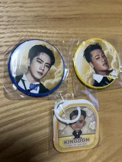三代目 KINGDOM 会場限定ガチャ　缶バッジ