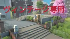 ヴィンテージ専用