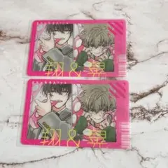 東京エイリアンズ クリアカード ミュージアム 天空橋翔 郡司晃 2枚セット