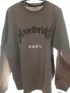 novelbright ガッキ オーバーサイズロンT/ロングTシャツ パープルM novelbright ガッキ オーバーサイズロンT/ロングTシャツ パープルM