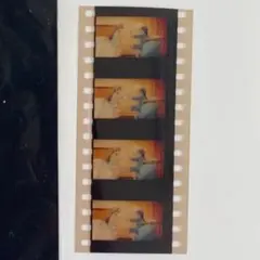 ラブライブ　特典　フィルム　まとめ売り　中古 ラブライブ 特典 フィルム まとめ売り 中古 2025年最新】Yahoo