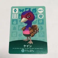 ケイン　任天堂　どうぶつの森　amiiboカード　アミーボ　あつ森
