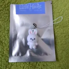 Stray Kids　SKZOO　シークレットミニチャーム　リービット