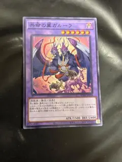 遊戯王 共命の翼ガルーラ ノーマル - メルカリ