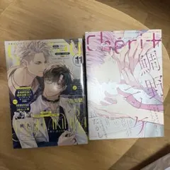 Cheri＋（シェリプラス） 2026年7月号 ふろくCD付き