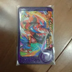 【新品・未使用】コライドン ポケモン フレンダ