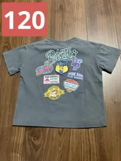パウパトロール　マーシャル　チェイス　ラブル　バックプリント　ワッペン　120