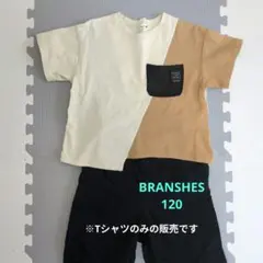 branshes カラーブロック Tシャツ 120