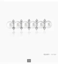 Item thumbnail for item 188872f9-d60a-4d26-ba06-f2ab9fbf9c5d