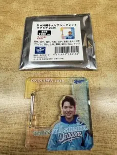 中日ドラゴンズ 細川成也 カラビナ 沖縄キャンプ2026 - メルカリ