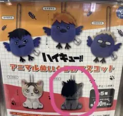 ハイキュー!!　アニマルぬいぐるみマスコット　ガチャ　クロオネコ