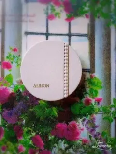 ALBION スタジオタフウェアソリッド010