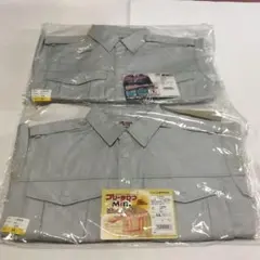 Item thumbnail for item 6326578a-7a2b-4b66-b817-b33130cdde32