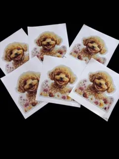 犬シール❤️トイプードルシール 6枚セット❤️未使用、新品！即日発送！