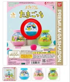 たまごっち カプセリウム まめっちみみっち