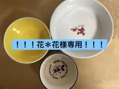 「花＊花様専用」　東京ディズニーリゾート お皿3点セット