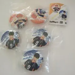 ハイキュー くら寿司 缶バッジ 日向翔陽 影山飛雄