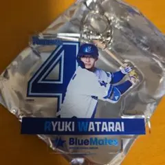 2026年最新】BlueMatesの人気アイテム - メルカリ