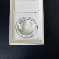 Apple Lightningケーブル 純正品