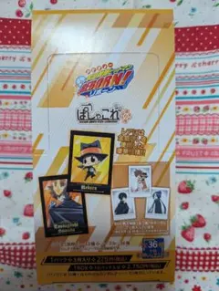 家庭教師ヒットマンREBORN! ぱしゃこれ第6弾 10パック30枚 沢田綱吉