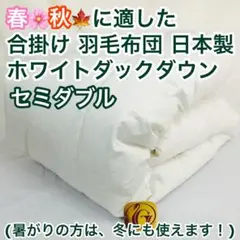 合掛け 羽毛布団 ダブル ニューゴールドラベル 日本製 春 秋 用 - メルカリ