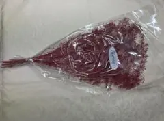 붉은 말린 꽃 꽃 소재