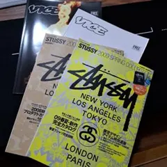 STUSSY 2008-2009ムック本