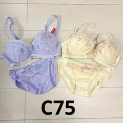 Triumph トリンプ　ブラジャーショーツセット C75-M 2色セットのサムネイル