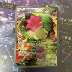 シェイミ CP5 幻·伝説ドリームキラコレクション 004/036 - メルカリ