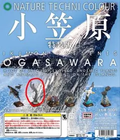 rrr様 リクエスト 2点 まとめ商品