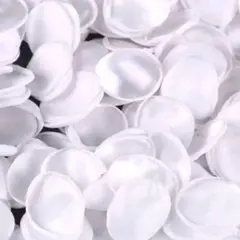 Item thumbnail for item d9f127ec-d96d-4fca-b5d5-b36815155cdc