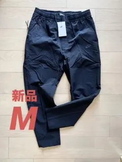 Item thumbnail for item 4fc0b848-10b4-4ebb-b37b-5a08de4aa788