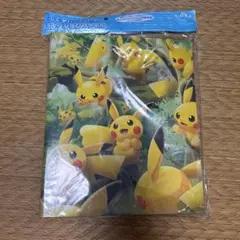 ポケモン マリオピカチュウ ルイージピカチュウ A4クリアファイル
