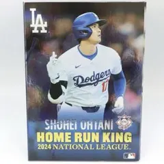 メジャーリーグ レア 特大ポスター MLB 2000年 全球団 キャップ
