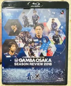 Item thumbnail for item 25b75955-5cfe-488e-9b0a-d95a1c3bf722