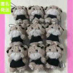 mikko characters BLACK RIBBON マスコット　ラテ