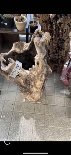 珪化木 大きい 20×17×5.5ほど | Mercari