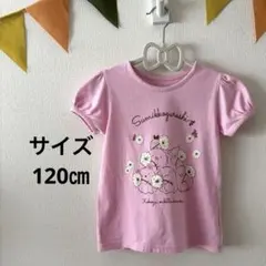 たんごママ様 リクエスト 2点 まとめ商品