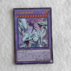 2026年最新】究極竜魔導師の人気アイテム - メルカリ