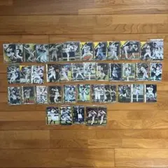 プロ野球オーナーズリーグ 阪神タイガース 44枚セット