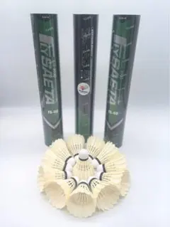 ☆バドミントン☆中古シャトル☆筒ケース付き☆ - メルカリ