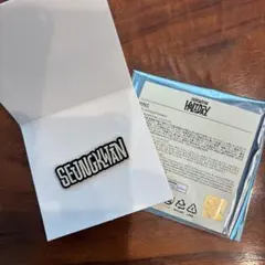 SEVENTEEN HOLIDAY PINS スングァン