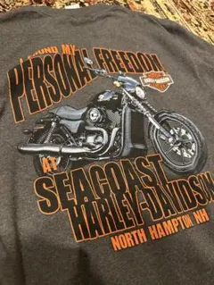 2026年最新】ハーレーダビッドソンラグランTシャツの人気アイテム