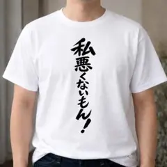 私悪くないもん Tシャツ ネタT おもしろT 面白いTシャツ 他責　他責　反省