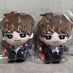 SnowMan すのチル（BIGぬいぐるみ） 向井康二　新品未開封　2つセット