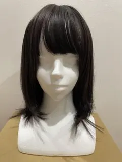 Item thumbnail for item 106e0e32-3712-473d-926d-0d0d9242bebe